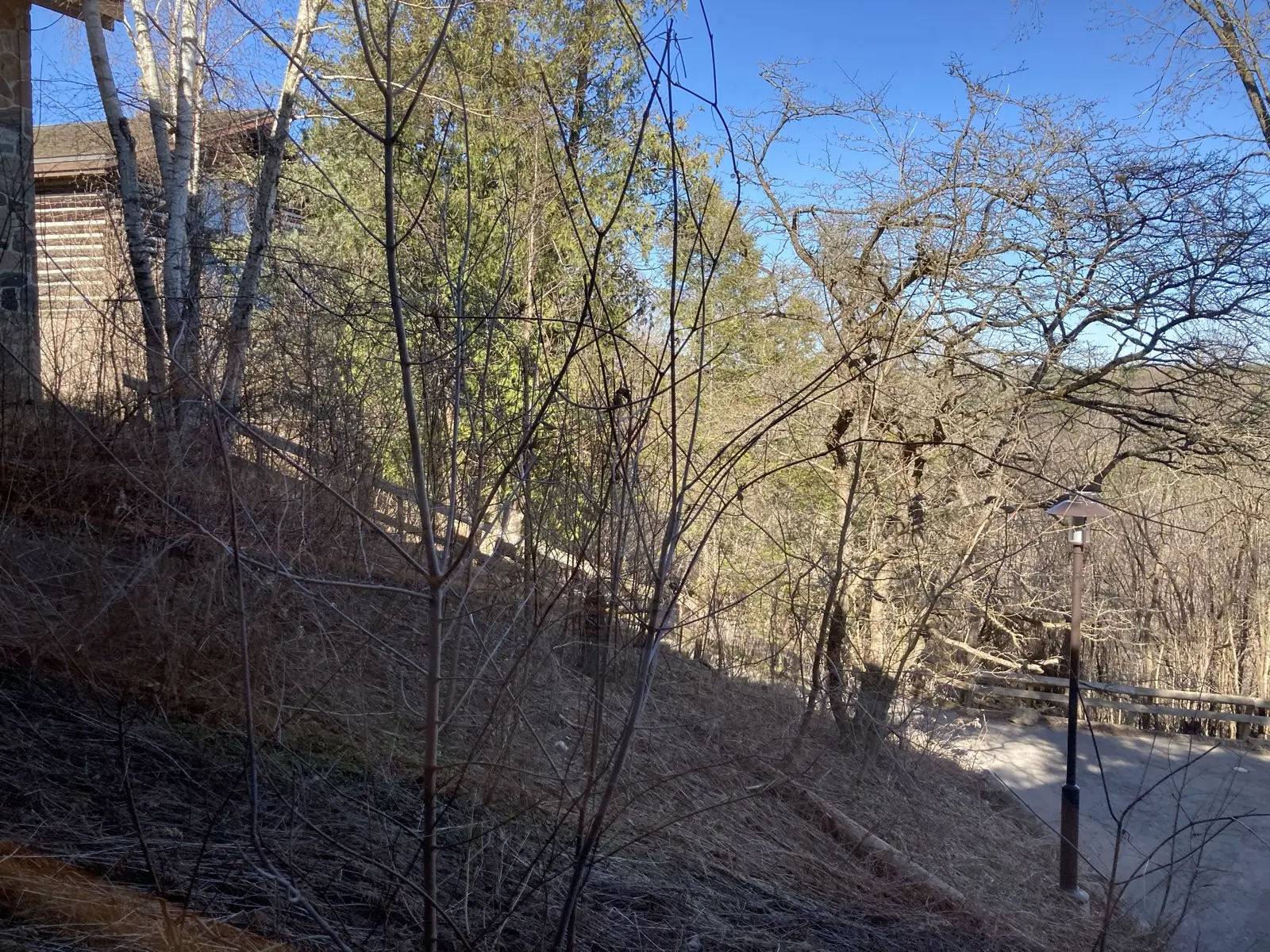 McMichael grounds with trees and paved path near the gallery building