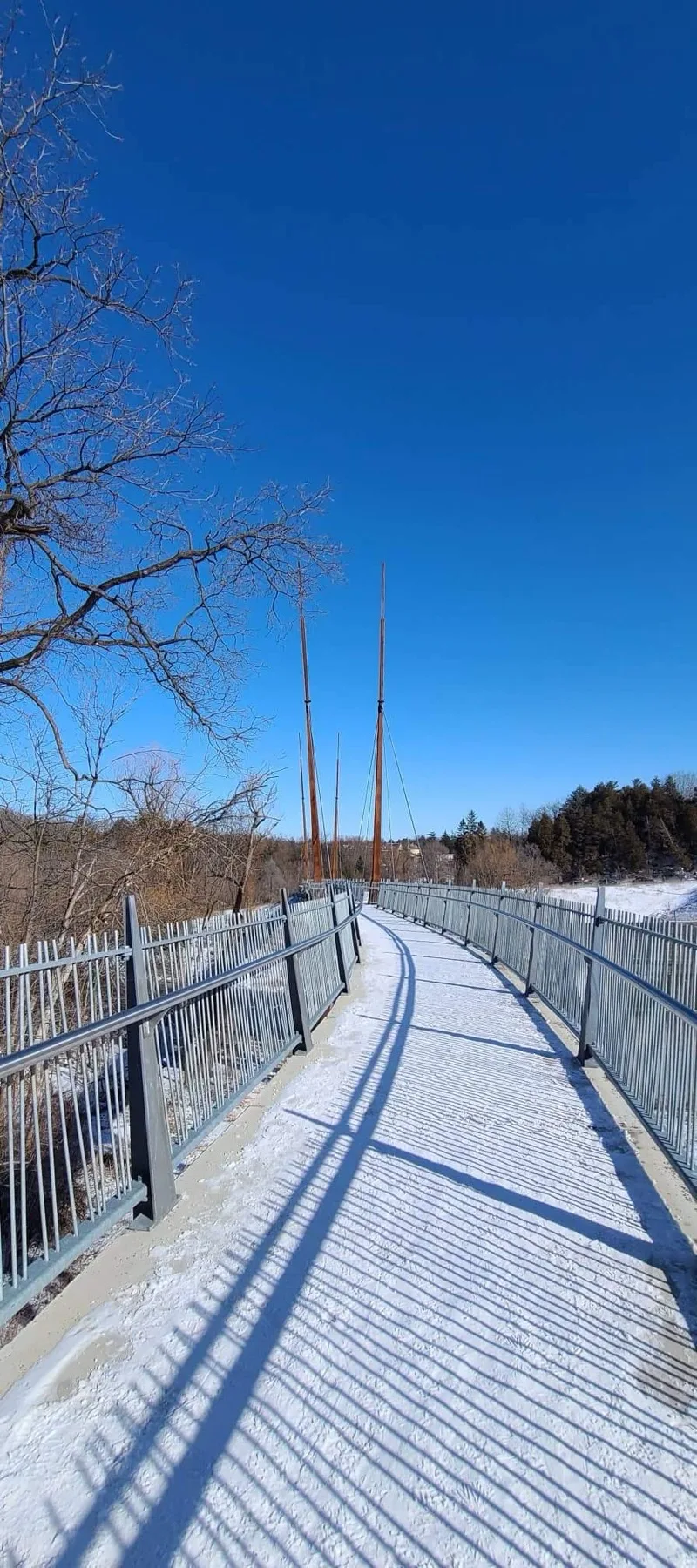 米爾恩大壩保護公園的冬季橋樑和樹木