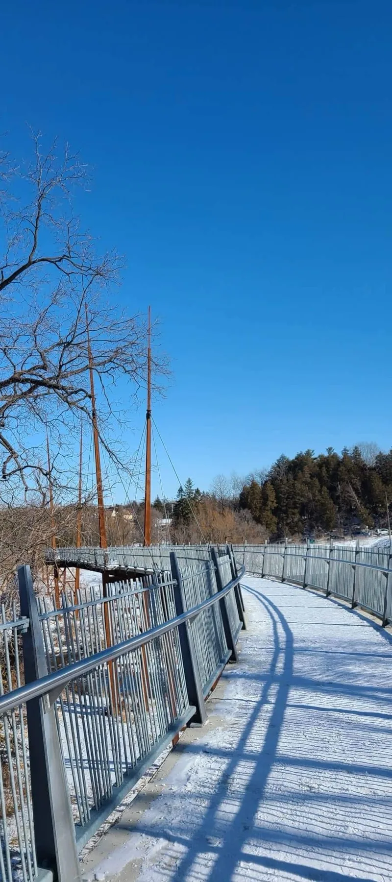 雪米爾恩大壩保護公園步道和樹木