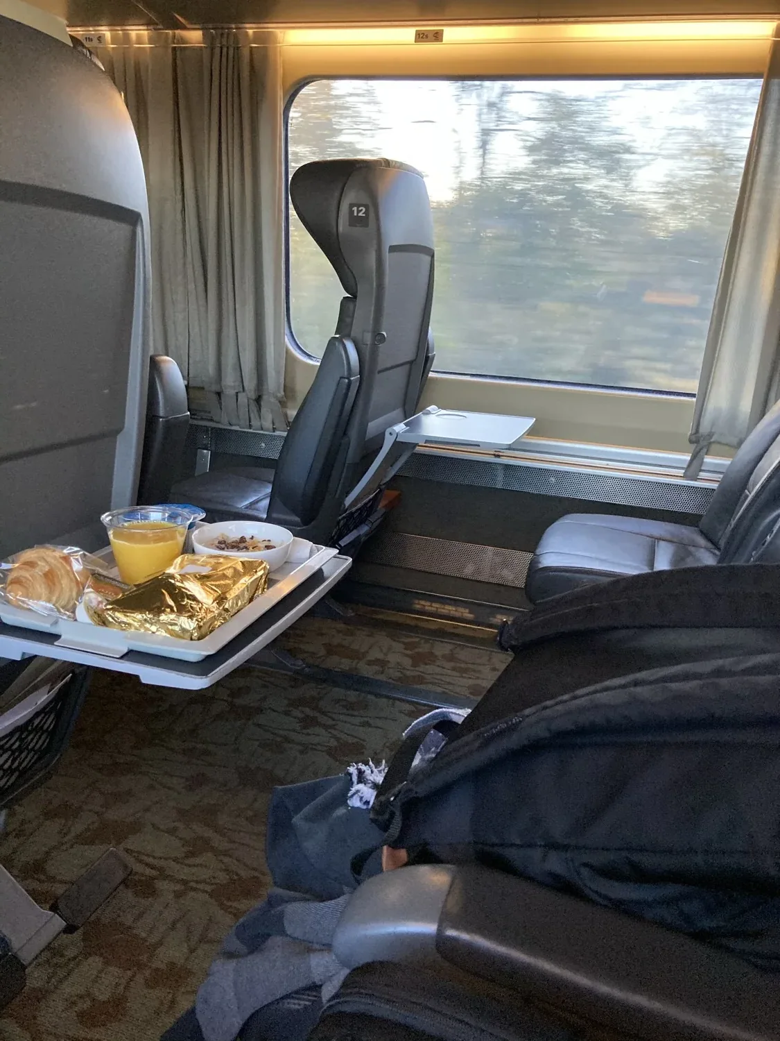 VIA Rail Business Class: meal, modern trains, expensive tickets, and real delay risk