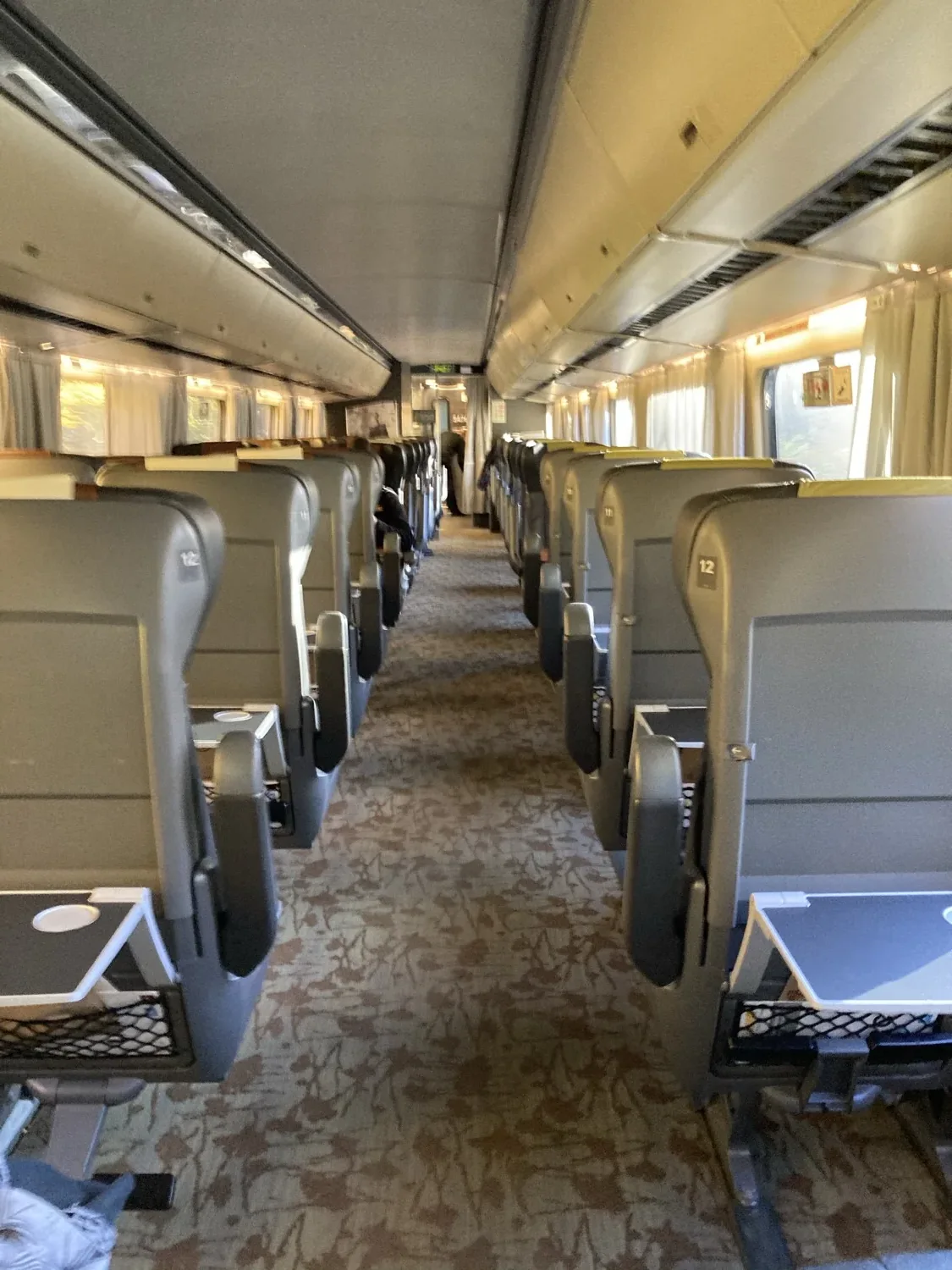VIA Rail Business Class: meal, modern trains, expensive tickets, and real delay risk