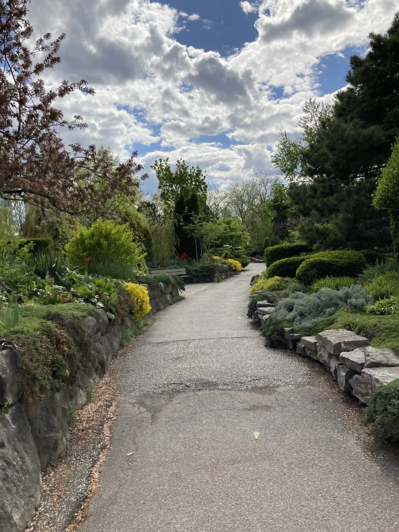 安大略省溫莎考文垂花園附近的春季花園小徑