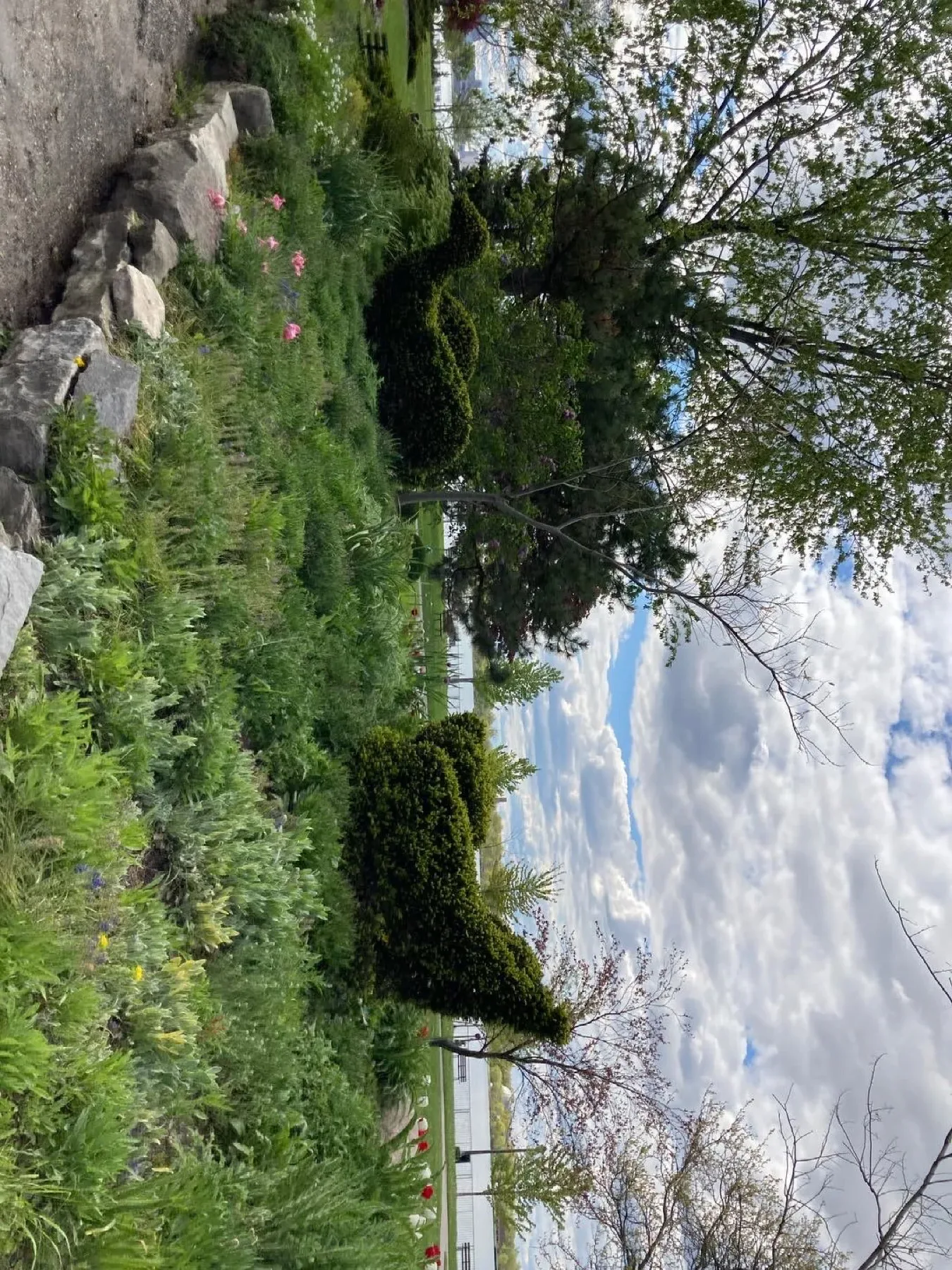 溫莎考文垂花園附近的動物形狀的修剪和花園床